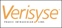 Veriseye Logo
